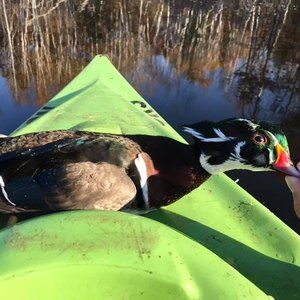 Meet your Posher, Joe